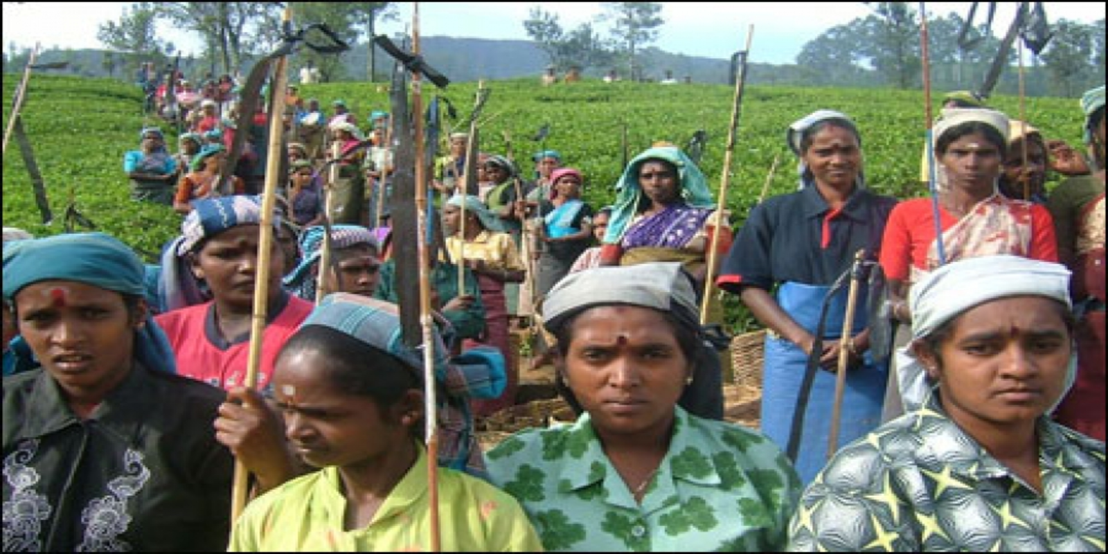 ஒரு கோப்பை தேநீரும் கேட்கப்படாத ஒரு அழுகையும்