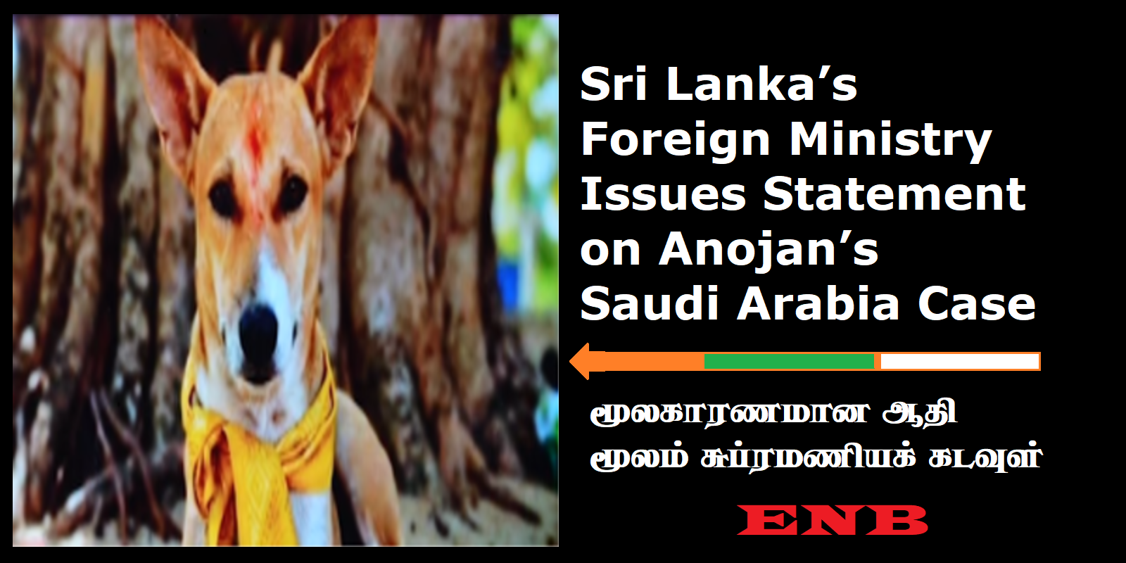 Foreign Ministry Issues Statement on AnojanS Saudi Arabia Case